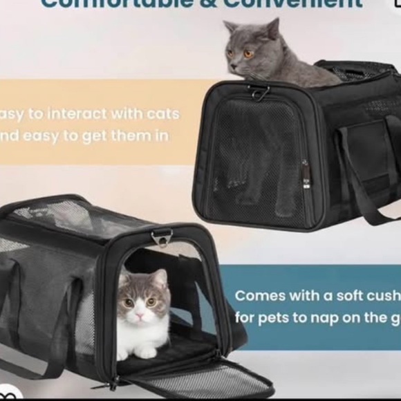 Black Pet Carrier for Cats - Picture 1 of 4